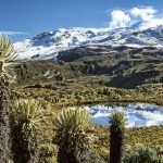 Los recursos naturales de la región Andina